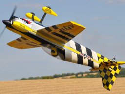 Flugtag 2022